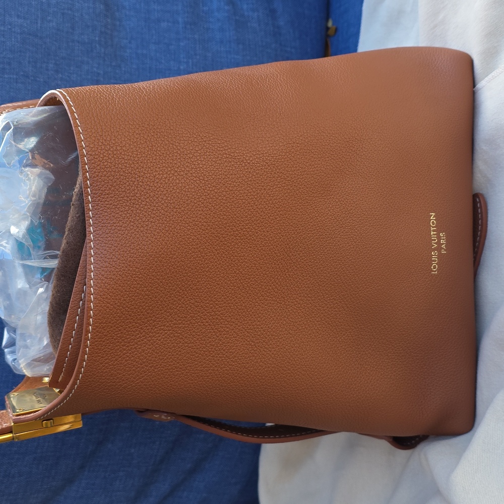 Louis Vuitton Lowkey Hobo Pm